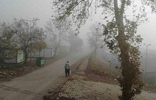 Kahramanmaraş’ta sis etkili oldu