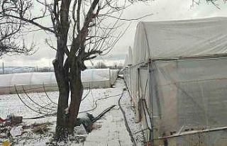 Kar yağışı sebebiyle seralar buz tuttu