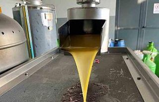 Kara meyve altın sıvıya dönüşüyor