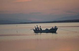 Karacabey’de çeltik ekimi yasaklandı