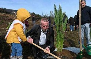 Karacabey’de yangın sonrası ilk fidanlar toprakla...