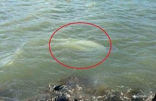 Karadeniz’de fırtına: Samsun’da 3 tekne battı