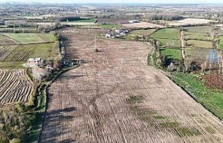 Karadeniz’in en büyük incir projesi: 50 milyon...