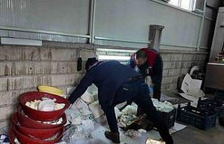 Karaman’da son kullanma tarihi geçen peynir ve...