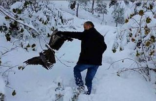 Kargayı atmacanın pençelerinden yoldan geçen vatandaşlar...