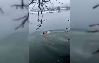 Karlı havada Dicle Nehri’ne daldı