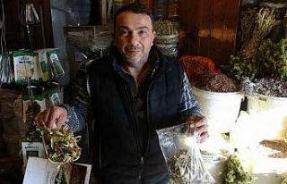 Karlı havalarda şifa arayanlar aktarlarda yoğunluk...