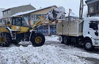 Karlıova’da karla mücadele çalışmaları başladı