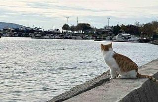 Kartal’da üşüten manzara: İki arkadaş soğukta...