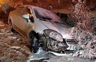 Kaygan zeminde kontrolü kaybedip kazaya neden oldu:...