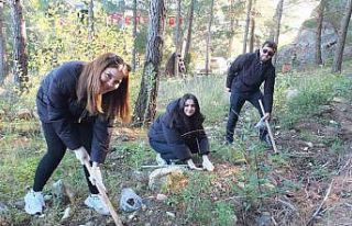 Kazdağlarında Bal Ormanına üniversiteli desteği