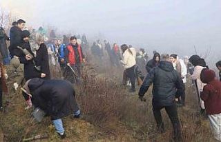 KBÜ’lü öğrenciler 500 çam fıstığı fidanını...