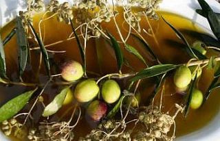 Kekik ve zeytinyağı, doğanın iki şifa kaynağı...