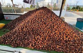 Kestane sezonu açıldı: Kilosu 175 lira