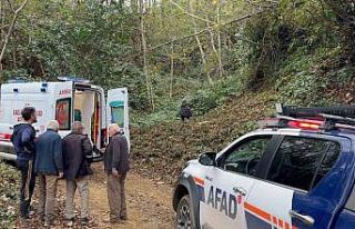 Kestiği ağacın çarptığı vatandaş uçuruma...
