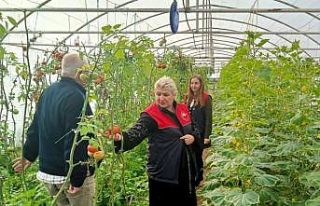 Kırklareli’nde sera kontrolleri