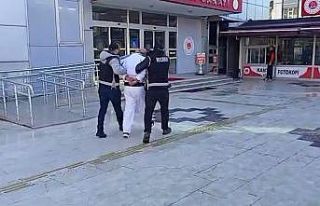 Kırmızı bültenle aranan zanlı Gürcistan’da...