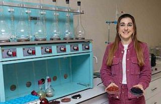 Kırmızı-mor meyvelerden fonksiyonel gıda ürünü