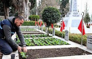 Kocaeli’de şehitliklerde bakım ve çiçeklendirme...