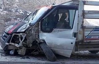 Kontrolden çıkan kamyonet direğe çarptı: 1 yaralı