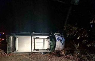 Kontrolden çıkan pikap PTS direğine çarptı