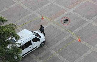 Köpekten örnek davranış: Polis şeridini ihlal...