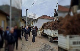 Köşk’te köklü kestane fidanları üreticilere...