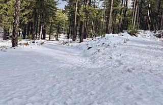 Köyceğiz Sandras Dağı karla kaplandı