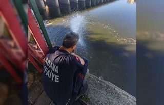Kuraklık balıkları vurdu
