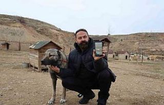 Kurtlar yerleşim yerlerine dadandı, uzmanı çare...