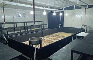 Manisa’da horoz dövüşüne jandarmadan baskın