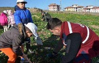 Manisa’da yanan alanlara 100 bininci fidan dikildi
