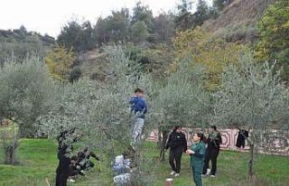 Manisa’da "Zeytin 5.0 Projesiyle" çocuklar...