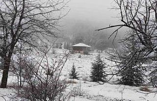 Manisa’nın yüksek kesimlerinde kartpostallık...