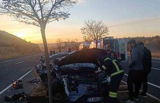 Mardin’de otomobil ile tırın çarpıştığı...