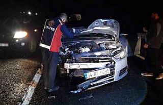 Mardin’de otomobilin çarptığı at telef oldu