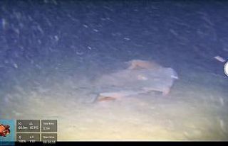 Marmara denizinin dibinde 50 yıllık sır ortaya...