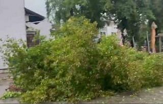 Marmaris’te sağanak etkili oldu