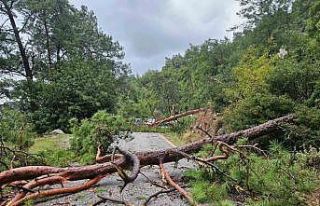 Menteşe Akbük’te şiddetli yağış ve rüzgar...