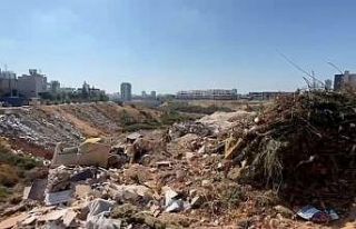 Mersin’de 2 belediyeye 3,7 milyon lira çevre cezası