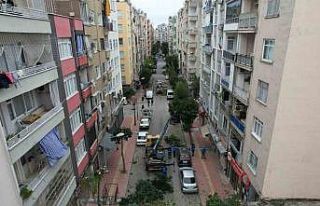 Mersin’de ağaçlara kış bakımı