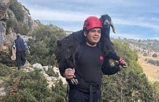 Mersin’de kayalıklarda mahsur kalan 2 keçi itfaiye...