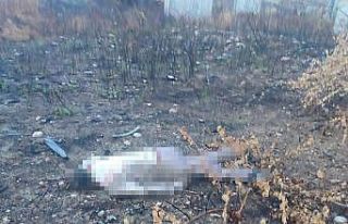 Mersin’de kaza yapan araç otoyolda, sürücüsü...