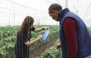 Mersin’de örtü altı üreticiye sera ipi ve tuzak...