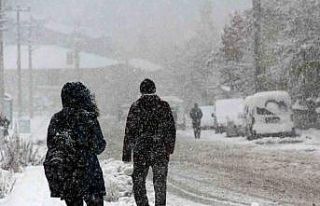 Meteorolojiden Erzincan için kuvvetli kar uyarısı