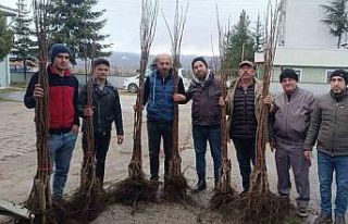 "Meyveciliği Geliştirme" projesi Pazaryeri’nde...