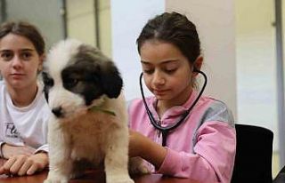 Minik veterinerler görev başında