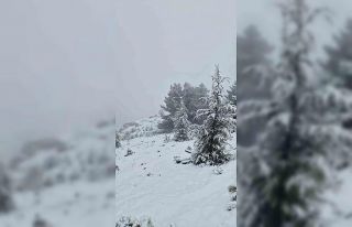 Muğla’da Göktepe beyaza büründü