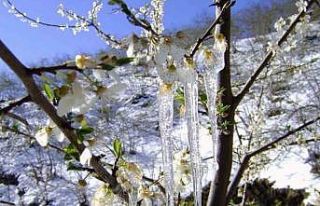 Muğla’da hava sıcaklığı -3’lere düşüyor