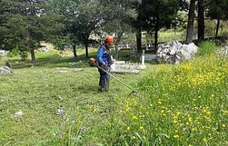 Muğla’da mezarlıklarda temizlik ve bakım çalışmaları...